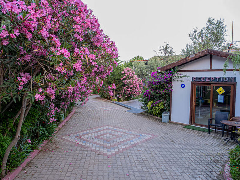 The Green Beach Resort Hotel