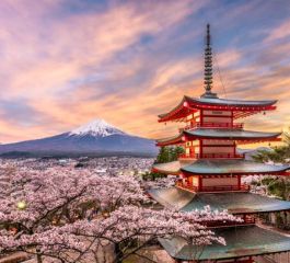 MSC Belissima ile Sakura Zamanı Japonya & Güney Kore  - 01 Nisan 2026