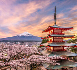 Elegant Japonya & Güney Kore Turu THY ile 9 Gece ICN-NRT FL001