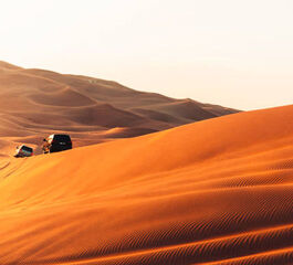 ADANA‘DAN DUBAİ TURU Türk Hava Yolları Özel Seferi ile 3 gece Dubai ve Abu Dhabi İkonları Şehir Turları Dahil,Çocuklar için Ücretsiz Vize..