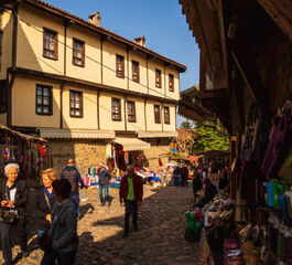 Günübirlik Cumalıkızık Gölyazı Mudanya Trilye Turu