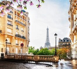 Görkemli Paris ve İncileri 3 Gece - THY ile 27 Mayıs Hareket (Kurban Bayramı Özel) AT1179
