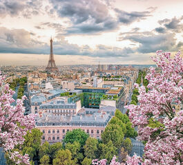 Görkemli Dörtlü Benelüx & Fransa & Almanya & İsviçre 7 Gece - THY ile 16 Mayıs Hareket (19 Mayıs Özel) (DUS - BSL) AT1069
