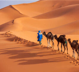 Görkemli Fas Krallığı ve Mistik Şehirler 4 Gece - THY ile (2026 Kış Dönemi) AT1335