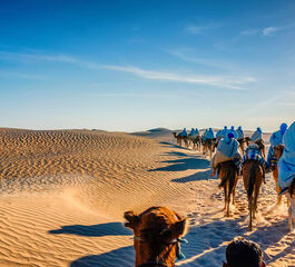 Görkemli Tunus ve Antik Kentler 3 Gece THY ile (2026 Kış Dönemi) Tüm Turlar ve Akşam Yemekleri Dahil! AT1207
