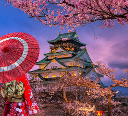 Comfort Japonya & Kore Turu Türk Hava Yolları ile 9 Gece Ekstra Turlar ve Çay Seremonisi Dahil Sakura 2026 Dönemi