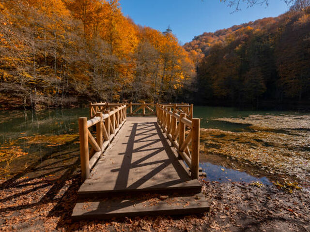 Günübirlik Abant Gölcük Gölü Turu