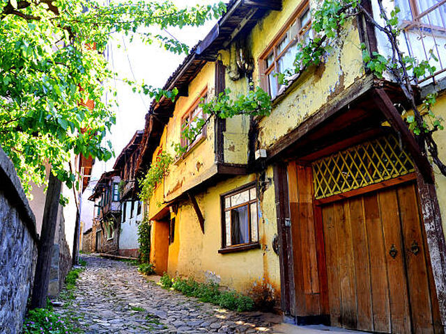 Günübirlik Cumalıkızık Gölyazı Mudanya Trilye Turu